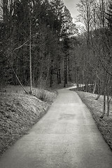 Image showing Small Pathway going trough the forest