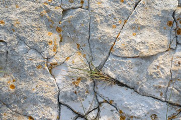 Image showing Aged rock texture background 