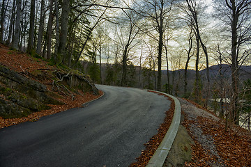 Image showing Road in autumn forest landscape