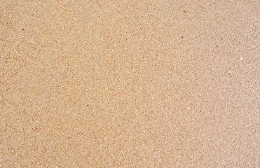 Image showing wet sand