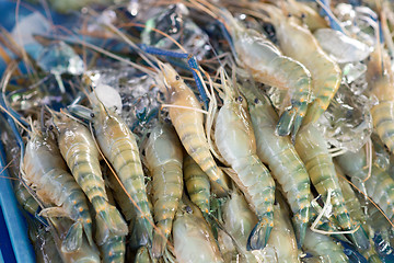 Image showing raw shrimps