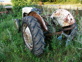 Image showing Nice old tractor.