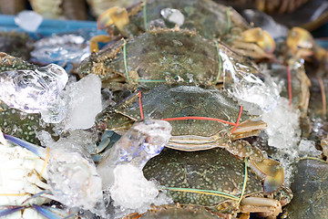 Image showing fresh crabs