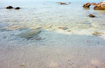 Image showing sea shore