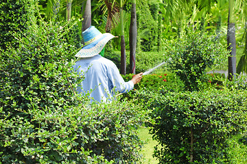 Image showing gardener