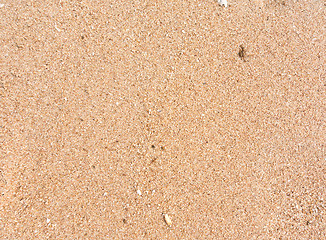 Image showing wet sand