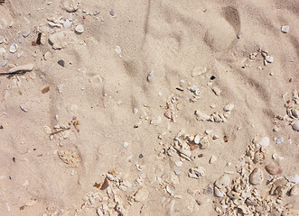 Image showing sand background