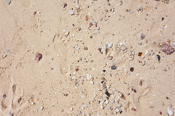 Image showing sand background