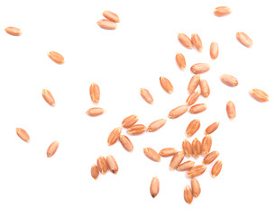 Image showing wheat grain