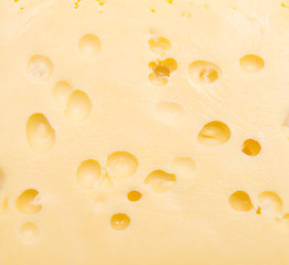 Image showing cheese