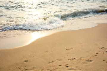 Image showing sea shore