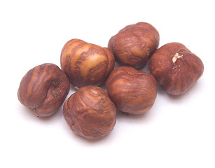 Image showing hazelnuts