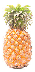 Image showing pineapple