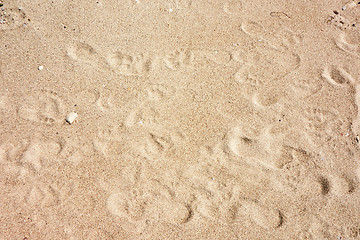 Image showing sand background