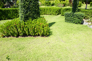 Image showing garden