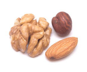 Image showing nuts