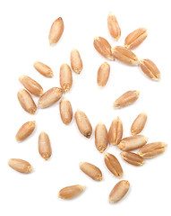 Image showing wheat grain