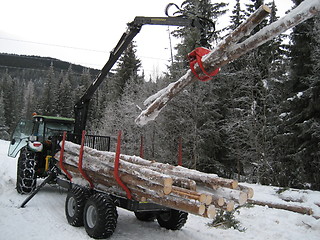 Image showing timber