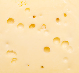 Image showing cheese background