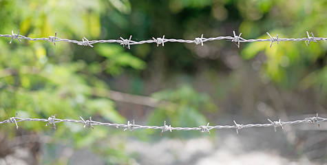 Image showing barbed wire