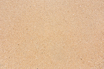 Image showing wet sand