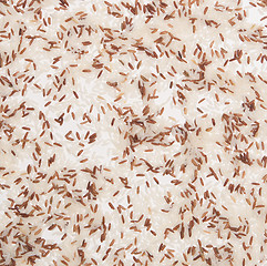 Image showing brown rice