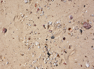 Image showing sand background