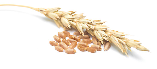 Image showing wheat ears and grain