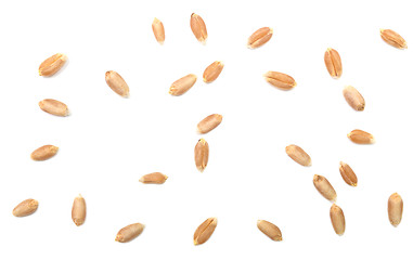 Image showing wheat grain