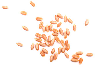 Image showing wheat grain