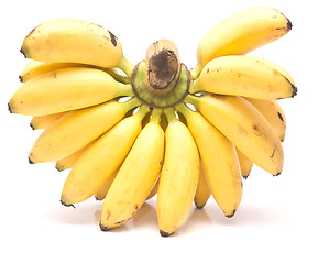 Image showing bananas