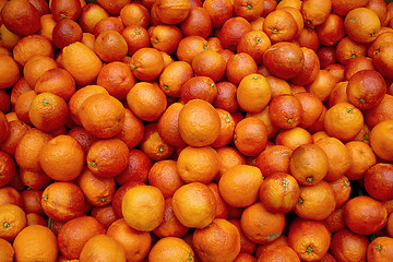 Image showing Bloody oranges