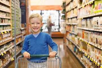 Image showing child shopping