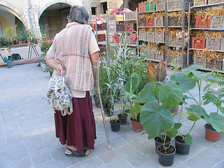 Image showing Market day