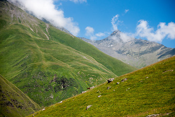 Image showing Hiking in Georgia Mountain