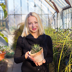 Image showing Florists woman working in greenhouse. 