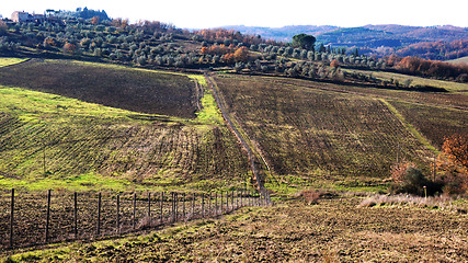 Image showing 
Wineyard in the winter 					