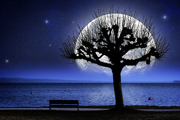 Image showing Lake, tree and oversized moon