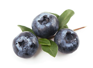 Image showing blueberries,. Isolated white