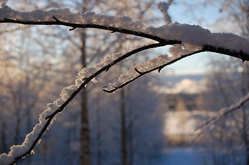 Image showing Snow