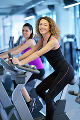 Image showing Group of people running on treadmills