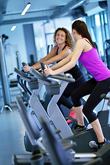 Image showing Group of people running on treadmills