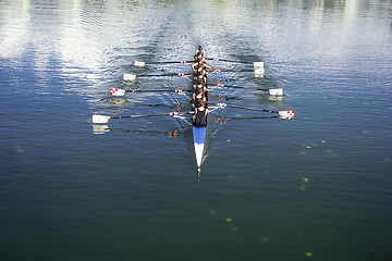 Image showing Coxed octosyllable