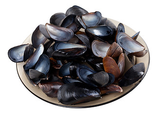 Image showing Shells of mussels on glass plate