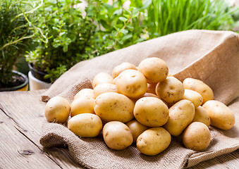 Image showing Farm fresh  potatoes on a hessian sack