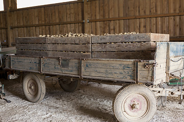 Image showing Freshly harvested potatoes and cabbages