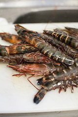 Image showing Fresh tiger prawns