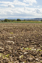 Image showing Harvested potato field with rotovated earth