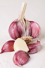 Image showing Fresh garlic bulb with loose cloves