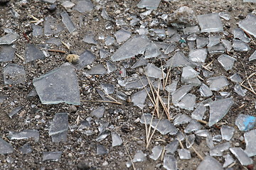 Image showing Shattered Glass